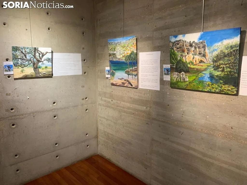 Imágenes de la exposición.