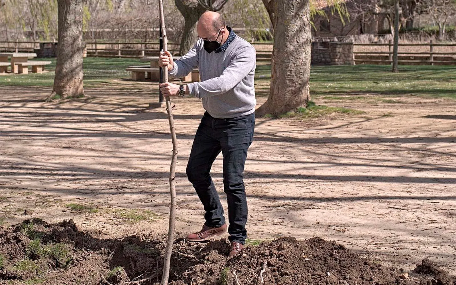 Foto 2 - &Aacute;greda se suma a la iniciativa 'Un &aacute;rbol por Europa'