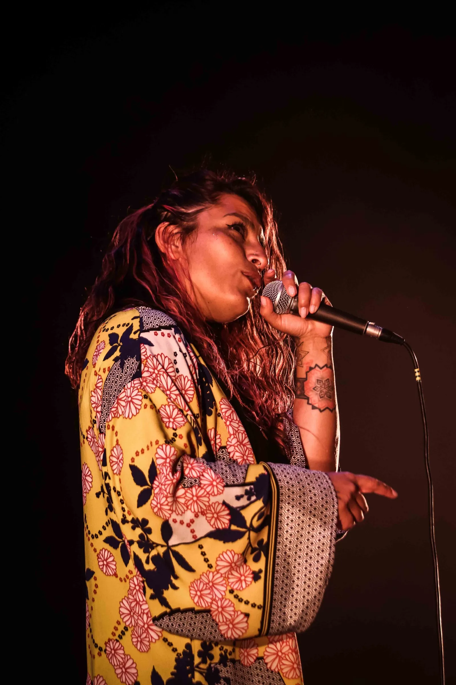 Ana Tijoux en Soria. /Viksar Fotografía
