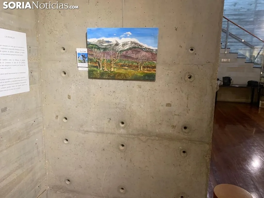 Imágenes de la exposición.