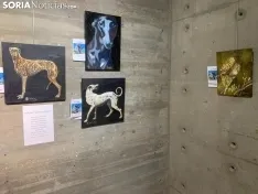 Imágenes de la exposición.