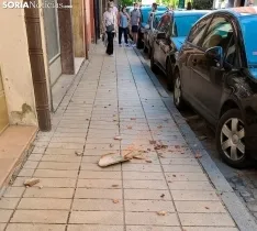 Foto 3 - M&aacute;s cascotes, ahora en la avenida de Navarra