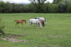 Foto 6 - &iquest;Alguien se acuerda de que hoy es El Lavalenguas?