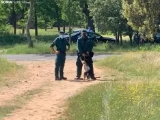 Imágenes de la recreación.