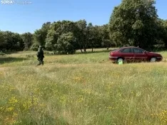 Imágenes de la recreación.