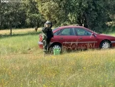 Imágenes de la recreación.