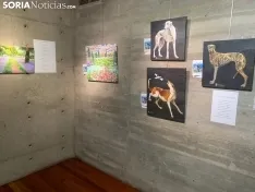 Imágenes de la exposición.