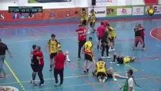 Foto 3 - BM Soria asciende a la Divisi&oacute;n de Plata del balonmano espa&ntilde;ol