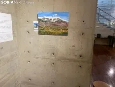 Imágenes de la exposición.