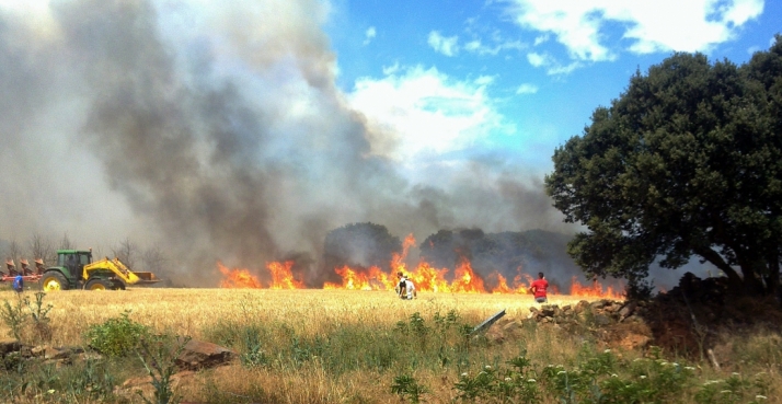 Campaña del cereal: Obligaciones legales para evitar incendios
