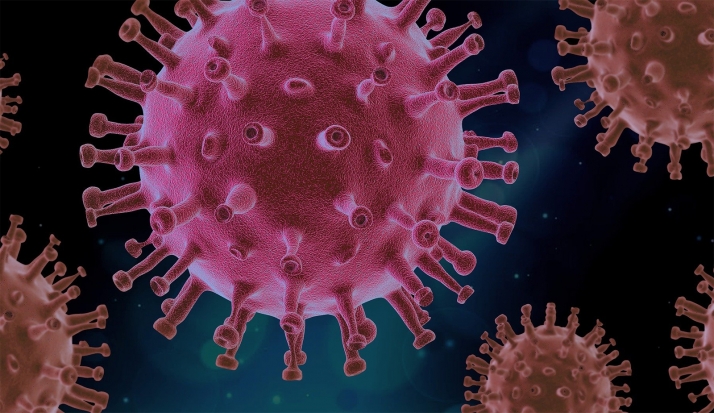 Un proyecto del CSIC identifica moléculas que frenan la entrada del coronavirus en las células