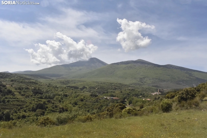 El PSOE reclama a la Junta una Estrategia Forestal sostenible