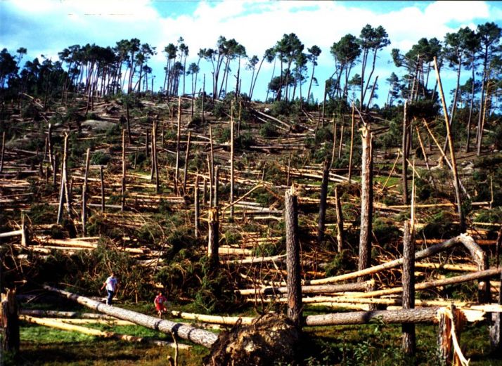 Se cumplen 22 años del tornado del noreste de Soria, uno de los más dañinos de España