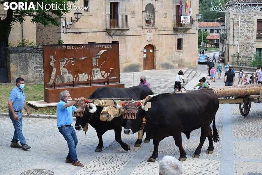 Bajada de pinos en carreta hasta Molinos de Duero.