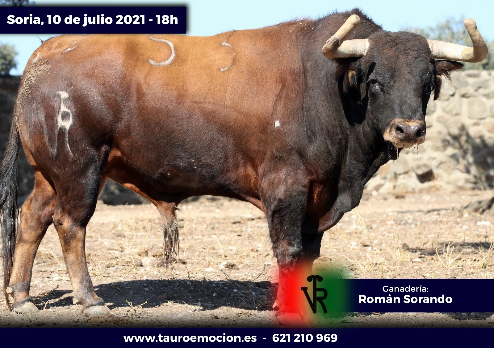 Foto 2 - Serios 'sorandos' para el cartelazo de este s&aacute;bado en Soria