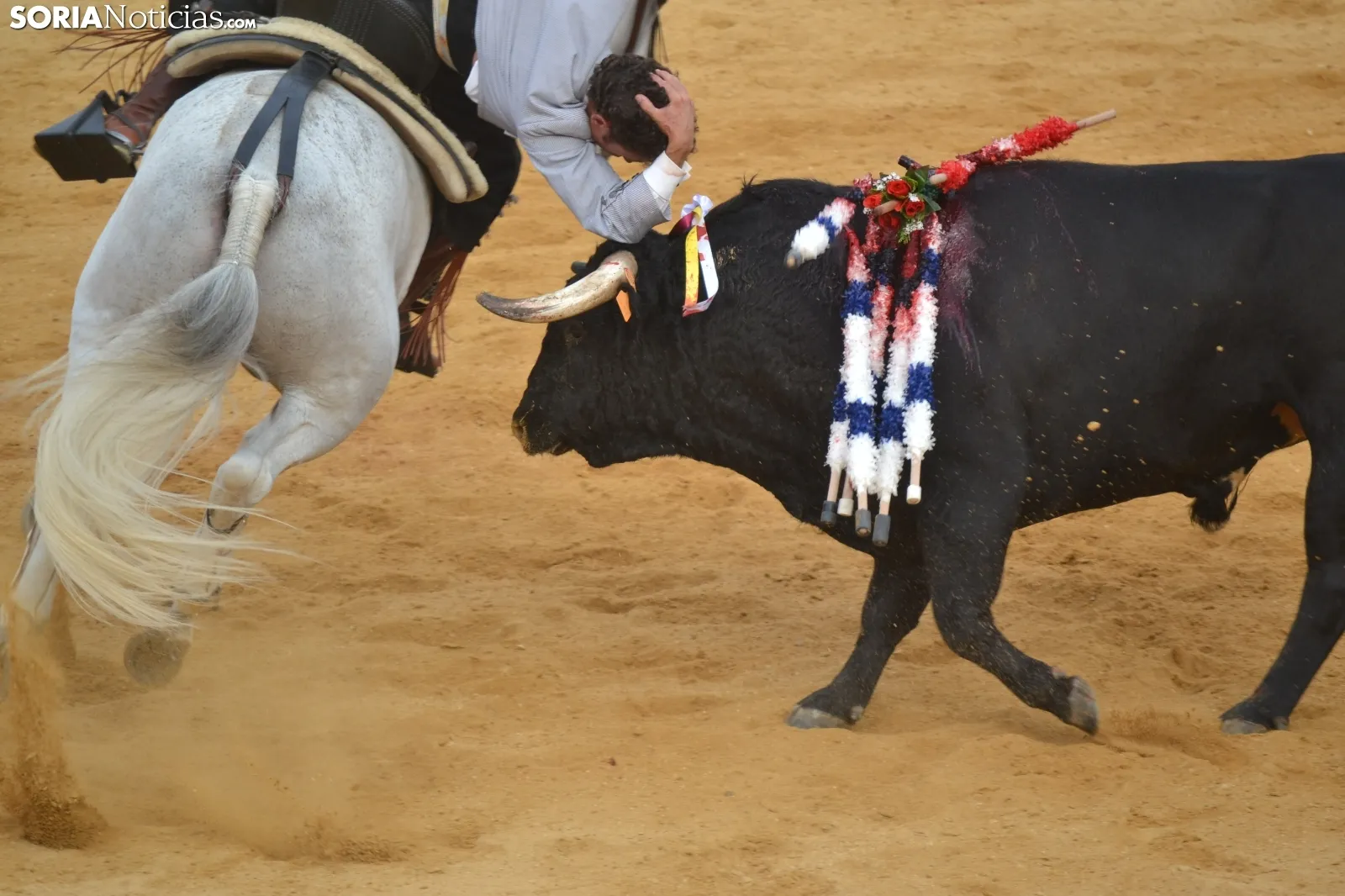 Una imagen de la tarde de rejones hoy domingo en San Benito. /SN