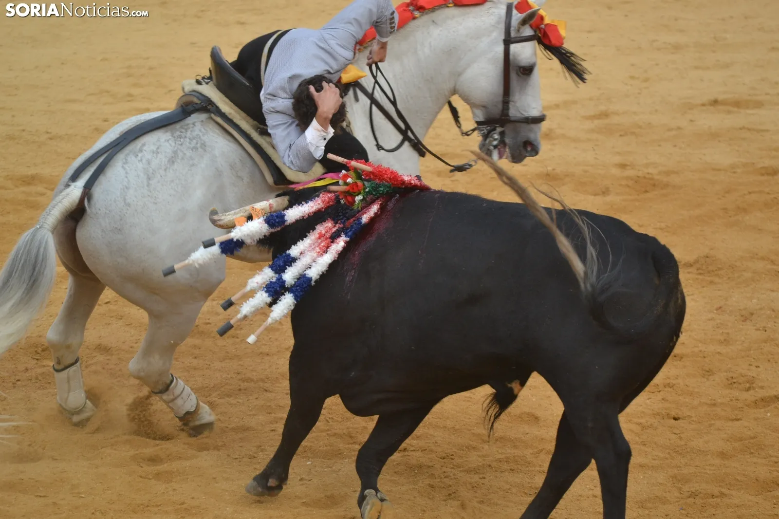 Una imagen de la tarde de rejones hoy domingo en San Benito. /SN