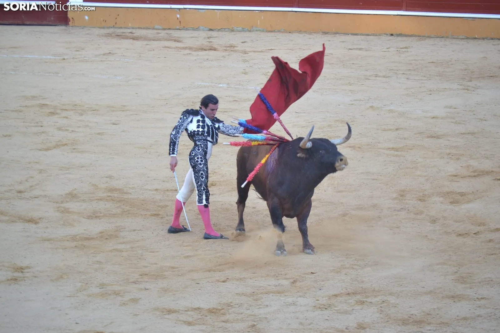 Una imagen de la tarde este sábado en la plaza de toros de San Benito. /SN