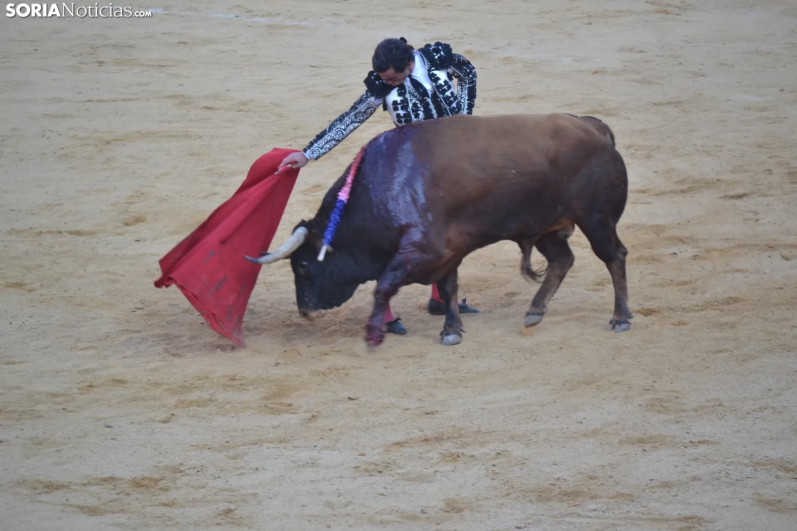 Una imagen de la tarde este sábado en la plaza de toros de San Benito. /SN