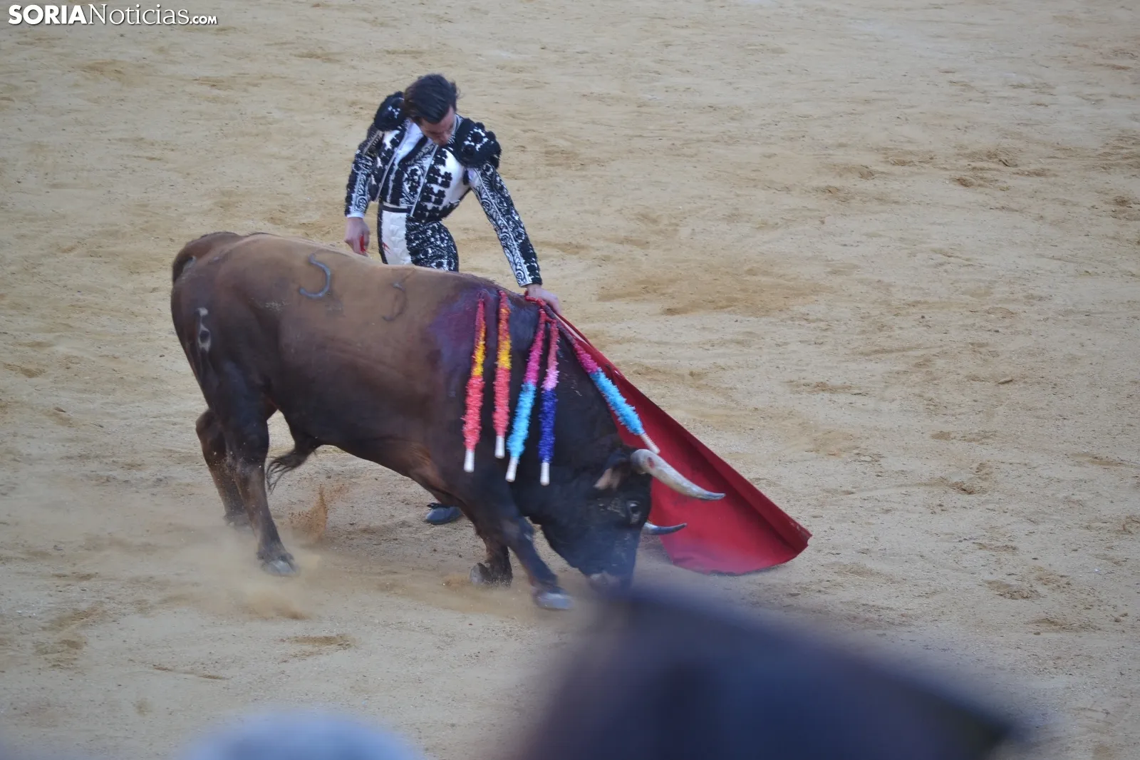 Una imagen de la tarde este sábado en la plaza de toros de San Benito. /SN