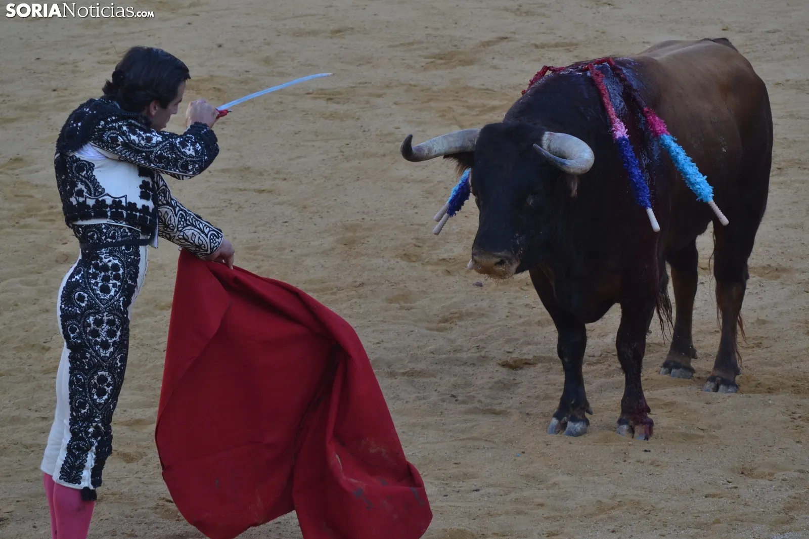 Una imagen de la tarde este sábado en la plaza de toros de San Benito. /SN