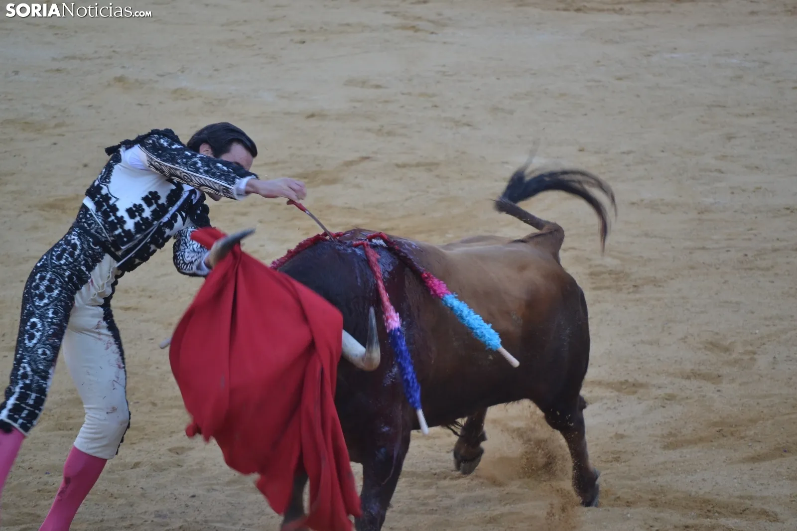 Una imagen de la tarde este sábado en la plaza de toros de San Benito. /SN