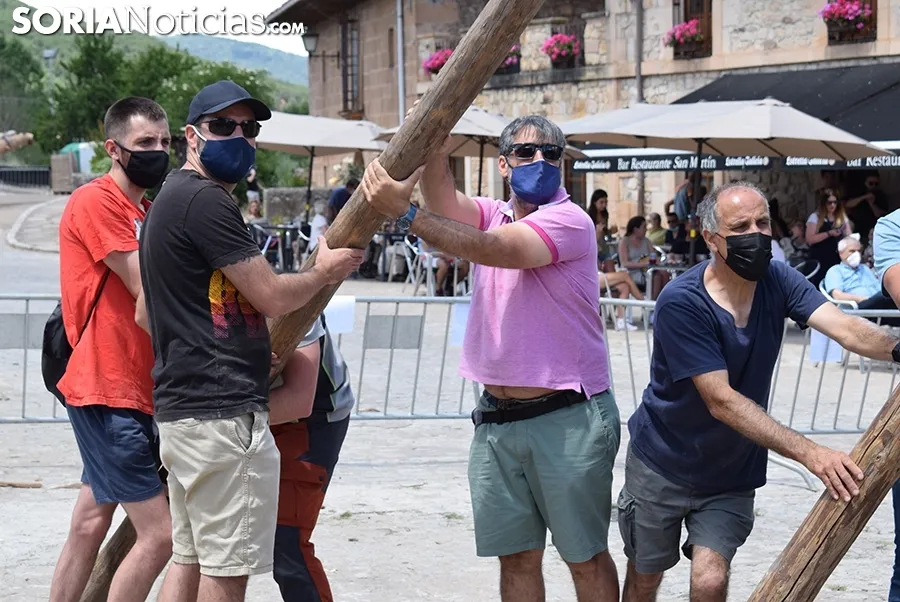 Pingada del Mayo en Molinos de Duero 2021.