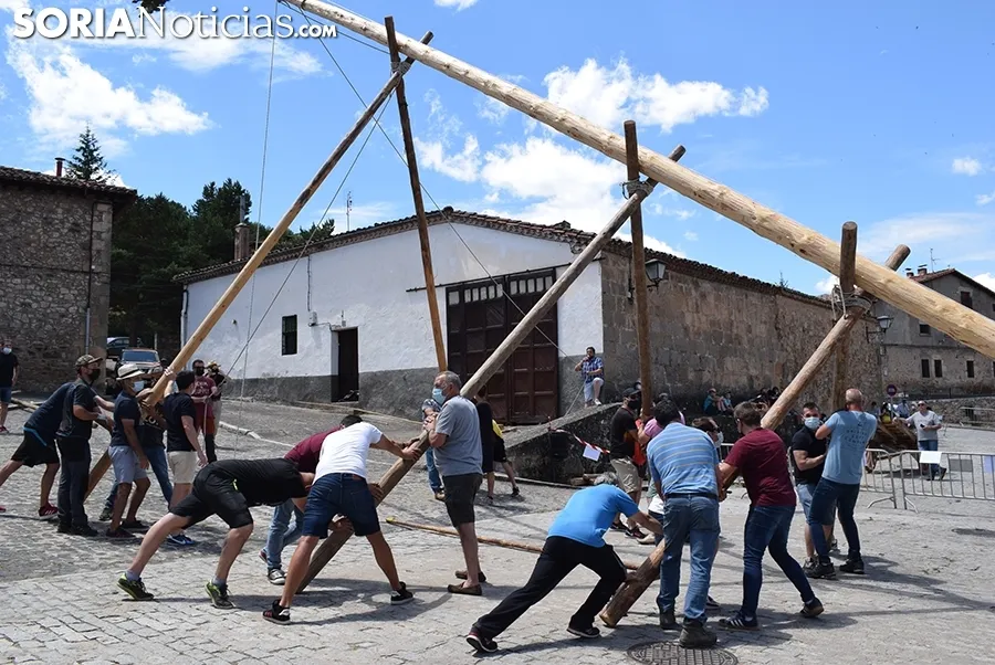 Pingada del Mayo en Molinos de Duero 2021.