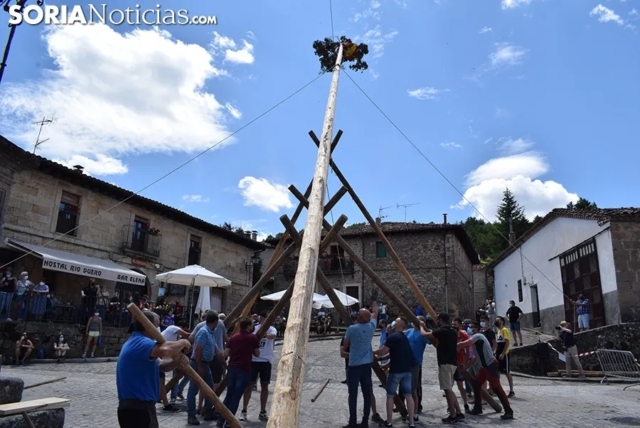 Pingada del Mayo en Molinos de Duero 2021.