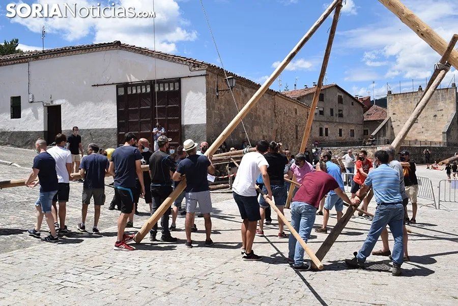 Pingada del Mayo en Molinos de Duero 2021.