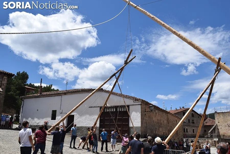 Pingada del Mayo en Molinos de Duero 2021.