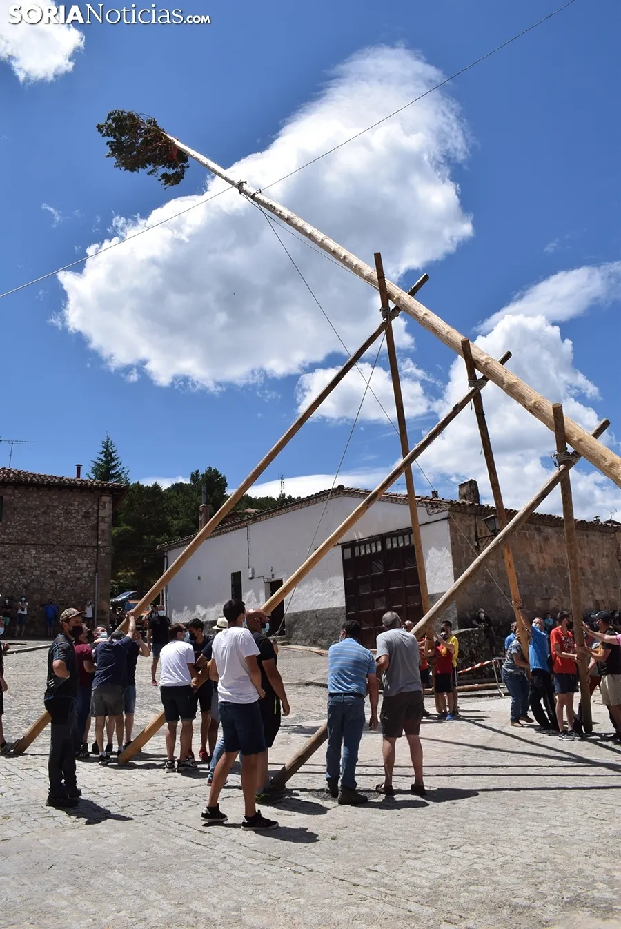 Pingada del Mayo en Molinos de Duero 2021.