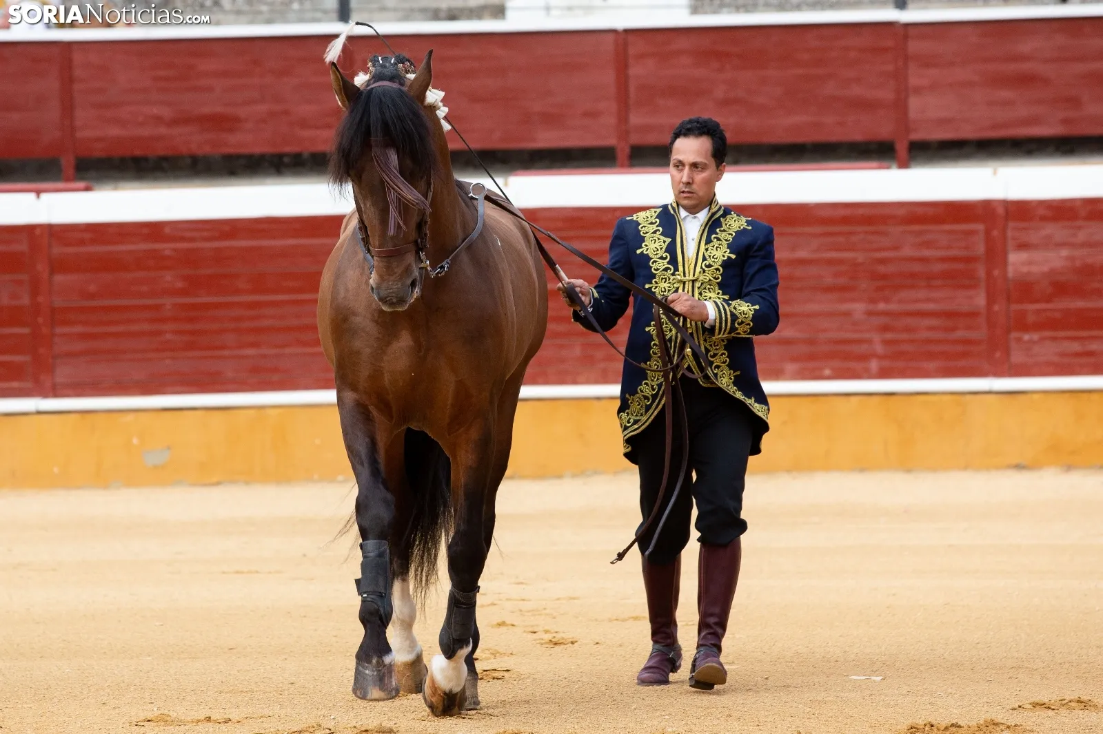 Duende ecuestre contra la ELA / María Ferrer 