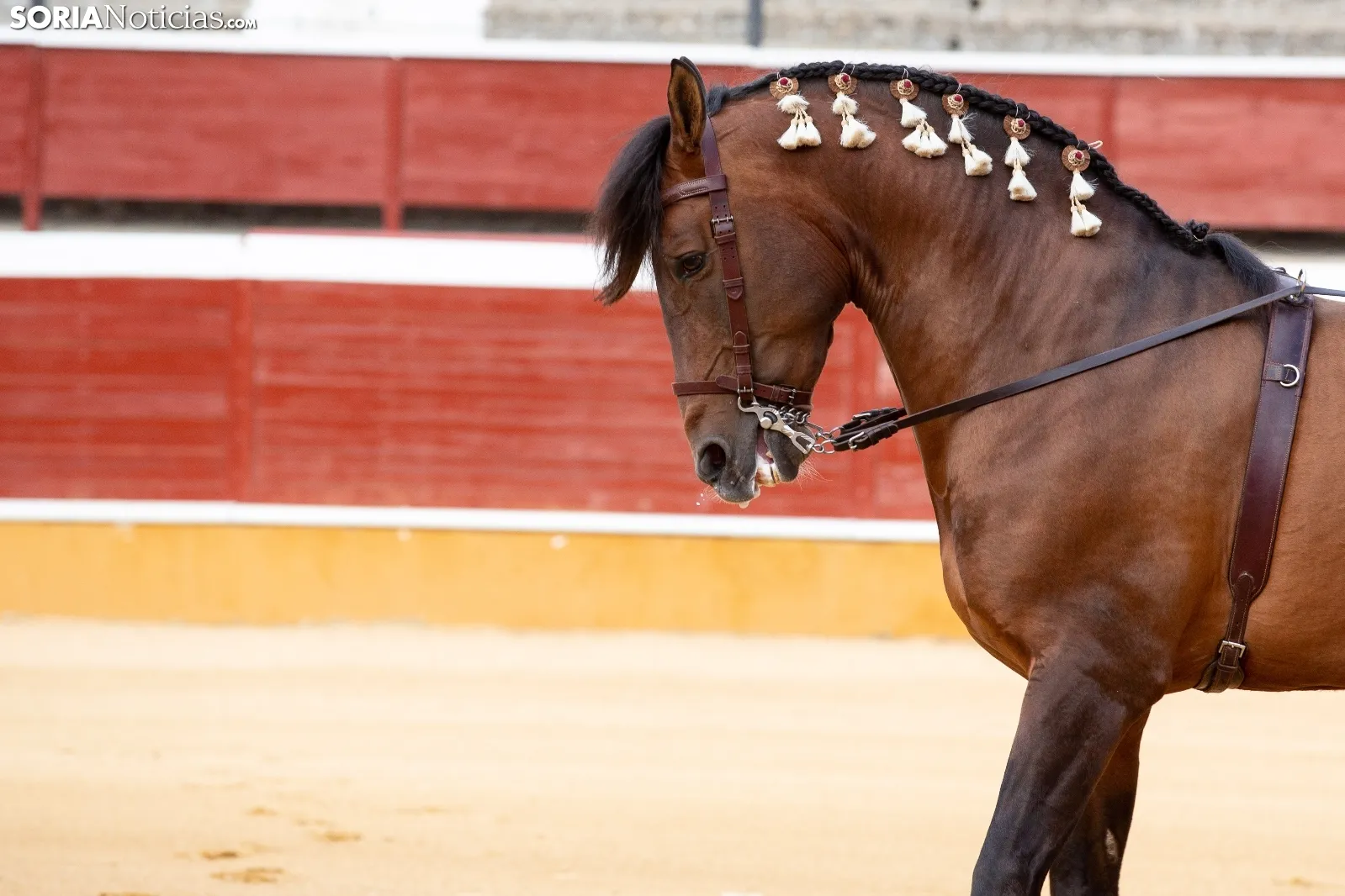 Duende ecuestre contra la ELA / María Ferrer 