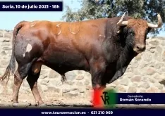 Foto 6 - Serios 'sorandos' para el cartelazo de este s&aacute;bado en Soria