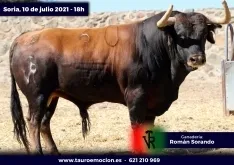 Foto 5 - Serios 'sorandos' para el cartelazo de este s&aacute;bado en Soria