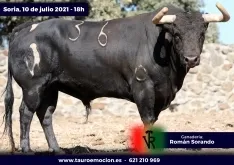 Foto 4 - Serios 'sorandos' para el cartelazo de este s&aacute;bado en Soria