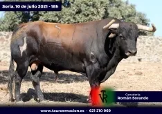 Foto 3 - Serios 'sorandos' para el cartelazo de este s&aacute;bado en Soria