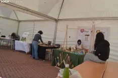 Comparecencia de Irene Montero en Soria.