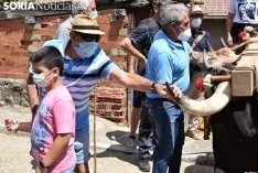 Bajada de pinos en carreta hasta Molinos de Duero.