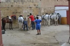 Una imagen de la tarde de rejones hoy domingo en San Benito. /SN