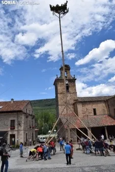 Pingada del Mayo en Molinos de Duero 2021.