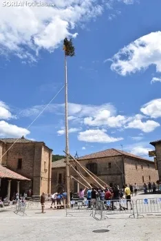 Pingada del Mayo en Molinos de Duero 2021.