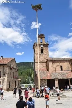 Pingada del Mayo en Molinos de Duero 2021.
