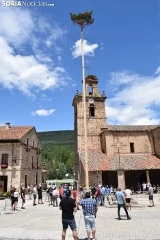 Pingada del Mayo en Molinos de Duero 2021.