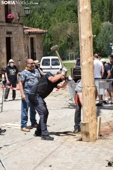 Pingada del Mayo en Molinos de Duero 2021.