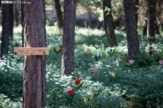 Bienvenida al Bosque Mágico / María Ferrer
