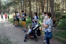 Bienvenida al Bosque Mágico / María Ferrer