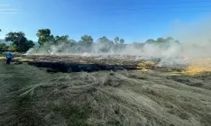 Una imagen de las labores de extinción en Sotillo. /GE