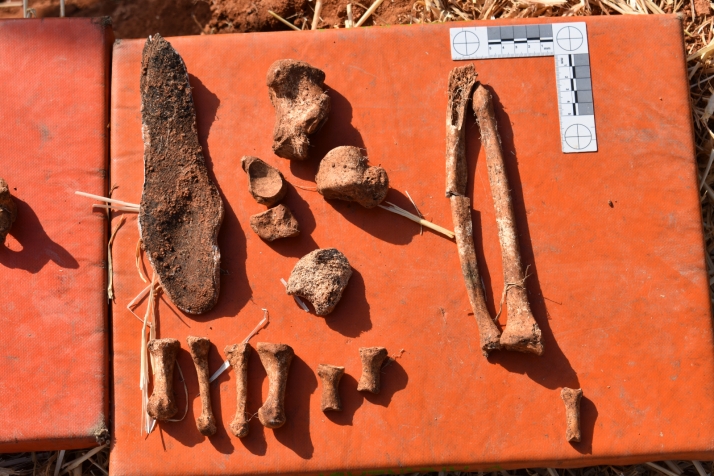 El Tribunal Constitucional cierra la causa, en España, por los asesinatos de La Riba